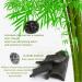 ANTEROOF Bamboo Charcoal Air Purifying Bags - Odor Eliminator for Home, Pets, Vehicle, Wardrobe & Bathroom - Buy Online on GoSupps.com