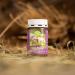 Sanct Bernhard Tierlieb Darm-Regulat for Cats | Probiotic Dietary Supplement for Digestion | 120 Capsules - Buy Online on GoSupps.com