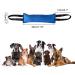 Dongker Bite Sausage for Dogs | 30cm Durable K9 Tug Toy | Robust Training & Play | Blue - Buy Online on GoSupps.com