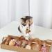 Shop Sunshine Smile Cat Toys Set - Interactive 7-Part Pack for Happy Pets | International Shipping Available - Buy Online on GoSupps.com