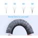 Self-Fan Volume Eyelashes | Easy Fan Lashes for Extensions | 12 Rhine Silk Extensions (0.07mm DD-11) - International Shipping Available - Buy Online on GoSupps.com
