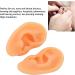 2Pcs Soft Silicone Ear Model - Ideal for Hospital Doctor Training & Earrings Display - Buy Online on GoSupps.com