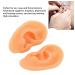 ZJchao 2-Pack Soft Silicone Ear Models for Acupuncture Training | Flexible Ear Anatomy for Doctors & Hospitals - International Shipping Available - Buy Online on GoSupps.com