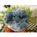 Natural Crystal Rough Natural Blue Celestite Cluster Geode Specimen Rock Gem for Home Decoration 1PC 500grams - Buy Online on GoSupps.com