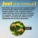 Xero Picks Tea Tree Infused Toothpicks for Fresh Breath & Dry Mouth - 60 Picks, Mint Flavor - 3 Pack - Buy Online on GoSupps.com