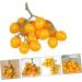OUNONA Simulated Small Tomatoes Models Cherry Tomatoes Decor Photography Props Artificial Cherry Tomatoes Model Faux Fruit Decor Realistic Party Decor Foam Fake Fruit Window Yellow 4.00X2.00X2.00CM - Buy Online on GoSupps.com