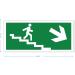 Pubblimania Emergency Exit PVC Sign - Robust Indoor/Outdoor Use (29 x 13 cm) - Stairs & Ladders Right Exit Indicator - Buy Online on GoSupps.com