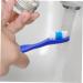 Clispeed Travel Toothbrush - 10 Pack Disposable Soft Nylon Brushes for Kids & Adults | Ideal for Travel & Prisons - Buy Online on GoSupps.com