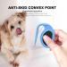 Pet Dematting Combs Knotting Comb Knotting Comb for Cats De Knotting Comb for Dog Pet Dematting Comb Knotting Combs Hair Removal Removal Massaging Brush Safety Deshedding Blades (Blue) - Buy Online on GoSupps.com