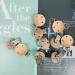 Schnuller Clip Set - 10pc Wooden Nipple Holders & Dummy Clips for Kids | DIY Pacifier Closure Chains | Perforated Wood Color - Buy Online on GoSupps.com