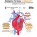 ULFCARE Life Balance Mitochondria Vitality Boost with Ubiquinol & Nattokinase | Cellular Energy Supplement for Heart Health Blood Circulation & Anti-Aging | 90 Capsules - Buy Online on GoSupps.com