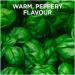 Schwartz Basil 10g - Premium Quality Herb for Cooking | Buy Online - Buy Online on GoSupps.com
