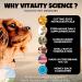 Vitality Science Blessed Relief for Cats | Seasonal Allergy Support | Improves Respiratory Function and Breathing | Heals Skin Helps Irritation (20g) - Buy Online on GoSupps.com