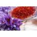 Select Spices Saffron of the highest quality quality category I ISO 36322 traditional preparation great aroma and taste 10g 100 Gram - Buy Online on GoSupps.com