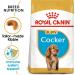 Royal Canin Dog Food Cocker Puppy Complete 3KG - Buy Online on GoSupps.com