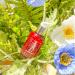 ORJENA Power Collagen Intensive Facial Serum - Best Anti-Aging & Skin Tightening K-Beauty Serum | 1.7 fl. oz - Buy Online on GoSupps.com