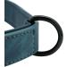 Didog Soft Padded Leather Dog Collar with Personalized Engraved Name Tag - Custom Blue XL (40-50 cm) for Small & Medium Dogs - Buy Online on GoSupps.com