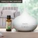 Buy Pure Japanese Mint Oil 30ml - Natural Mentha Arvensis for Aromatherapy | Fragrance Lamp & Diffuser | Best for Beauty & Wellness - Buy Online on GoSupps.com