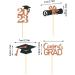 WOTEG Graduation Cupcake Toppers 2023 | Graduation Theme Cupcake Toppers - Grad Caps Food Appetizer Picks Cake Graduation Party Decorations Diploma Cupcake Picks for Cake Rose Gold - Buy Online on GoSupps.com