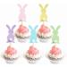 Hosiwei Easter Bunny Food Picks for Cake Decoration 25Pcs Wooden Bunny Picks with Spring Theme for Easter Party Supplies Easter Decorations for Dessert Table - Buy Online on GoSupps.com