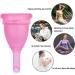 Buy Reusable Menstrual Cup - Silicone Menstruation Cup for Women | Eco-Friendly & Food-Safe - Lively Rose Gold - Buy Online on GoSupps.com