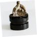 VANZACK Pet Water Feeder Small Ants Feeder Insect Water Feeder Ants Feeding Bowl Clear Ants Feeder Plastic - Buy Online on GoSupps.com