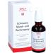 Echinacea Mouth and Throat Spray 50ml | Immune Support & Soothing Relief | Fast Shipping Worldwide - Buy Online on GoSupps.com