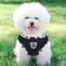 Shop Femax Dog Harness & Linen Set - Reflective Adjustable Breathable for Walking & Training - XL Size (Chest 47-52 cm) - Soft Mesh Padded Dishes for Dogs & Cats - Buy Online on GoSupps.com