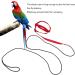 Buy Cyrank Adjustable Bird Dishes & Pet Leash for Outdoor Training - Perfect for Nymphensittich & Alexandriner - XL Size Available - Buy Online on GoSupps.com