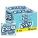 Extra Smooth Mint Sugarfree Gum (Pack of 10)