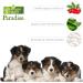 Wild Orchid Vanilla Puppy Conditioner - 16 oz | Best Shot Pet Scentament - Buy Online on GoSupps.com