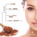 Neolith Saffron Sandalwood Night Cream | 98% Organic | Night moisturizer Anti Aging night cream Night cream for glowing skin | No Silicon No Mineral oil No Paraben No Synthetics - Buy Online on GoSupps.com
