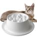 Slow Feeder Cat Bowls,Raised Cat Bowl Fun Pet Feeder Bowl Stopper,Interactive Bloat Stop Cat Feeder,Durable and Prevents Obesity Improves Digestion Pet Bowl White fishbone design