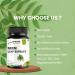 SETNUTRA Well From Within Pure Neem Leaf Extract 500Mg | Natural Detox Support Skin Health & Immune Support | Non GMO Gluten Free Vegan Capsules (120 Count) - Buy Online on GoSupps.com