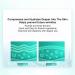Transparent Lip Wrinkle Patch for Men Women 2 Pairs Day Night Use Lip Anti Wrinkle Pads for Home Beauty Salon Reusable Silicone Upper Lip Pad for Skin Firming Fine Wrinkles Reducing - Buy Online on GoSupps.com