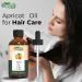 Organic Zing Apricot Oil Pure & Natural for Skin Face Hair Care Aroma Therapy Diffuser Conditioner - 30ml - Buy Online on GoSupps.com