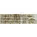 Buy Ricefield Rice Noodles Vermicelli 1.2 mm Bun Gao - 400g Pack | International Shipping - Buy Online on GoSupps.com