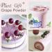 100% Natural Pure Grape Powder 100g/3.52oz pour smoothies shakes p tisseries et boissons | sans conservateurs sans sucre ajout  - Buy Online on GoSupps.com