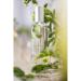 Provence Sante Eau de Toilette Spray - Luxury Long-Lasting Fragrance - Vetiver Scent - Elegant Perfume Gift - Made in France - 3.5 Oz - Buy Online on GoSupps.com