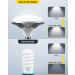 RALENO Softbox Lighting Kit with 50W LED Bulbs for Portrait and Product Photography | 20''X20'' Reflectors for Live Streaming and Advertising - Buy Online on GoSupps.com
