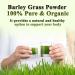  Qoobom Salveo Barley Grass Powder 100% Pure and Organic Salveo Well - Organic Barley Grass Juice Powder Improve Your Health Naturally Excretes Body Waste in Just 2 Weeks - Buy Online on GoSupps.com