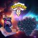 Warheads Taste Package - 4x99g Delicious Sweets | Galactic Cubes Ooze Chews Lil Worms & Chewy Cubes | International Shipping with Heartforcards Protection - Buy Online on GoSupps.com
