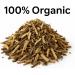 Organic Bio Herbs-Dried Echinacea Root 2 oz Echinacea Purpurea Herbal Supplement Premium Quality Non-GMO Caffeine-Free Promotes Natural Wellness 2 Ounce (Pack of 1) - Buy Online on GoSupps.com