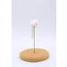 Mohan Spring Mouse Cat Toy | Interactive Teaser for Indoor Kittens | Self-Play Fun - Buy Online on GoSupps.com