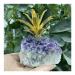 Natural Amethyst Quartz Cluster Crystal Pineapple Specimen Stones Natural Luster