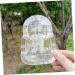 HOMSFOU 8 Pcs Vegetable Shaping Mold Fruit Growing Mold Planting Molds Fruit Shaping Tool Fruit Forming Molds Vegetable Forming Mould Pumpkin Growing Mold Fruit Mould Tool Apple Pear Melon - Buy Online on GoSupps.com