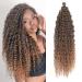 Deep Twist Crochet Hair Waterwell Twist Hair bundle Synthetic curly braided hairstyle hair extension ombre kinky curl braided hair part 22 inch 6 packs 22inch-6Pcs T27#