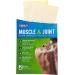 Great Lakes Wholesale Heat Pain Patch 2Ct - Fast Relief for Aches & Pains | Health Products - Buy Online on GoSupps.com