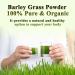 Naveta Barley Grass Powder 100% Pure & Organic Naveta Pure Organic Barley Naveta Organic Barley Grass Powder All Natural Ingredients Easy to Use and Carry (2 box) - Buy Online on GoSupps.com