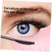 FOMIYES 10 Pcs Eyeliner Eyeshadow Tools Lash Shield Kit Eye Makeup Silicone Eyebrow Stencil Protection Ruler - Buy Online on GoSupps.com